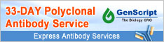 antibody production