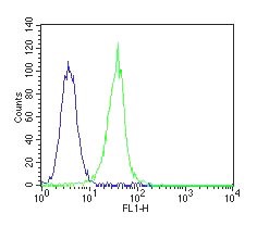 Flow cytometric analysis of paraformaldehyde fixed, THP-1 cells (Human monocytic leukemia cells) using anti-TNF-α antibody (Hytest 4T10) at 2ug per test (green) and isotype controls (blue) (see Method section for more detail).